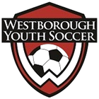 WYSA Logo